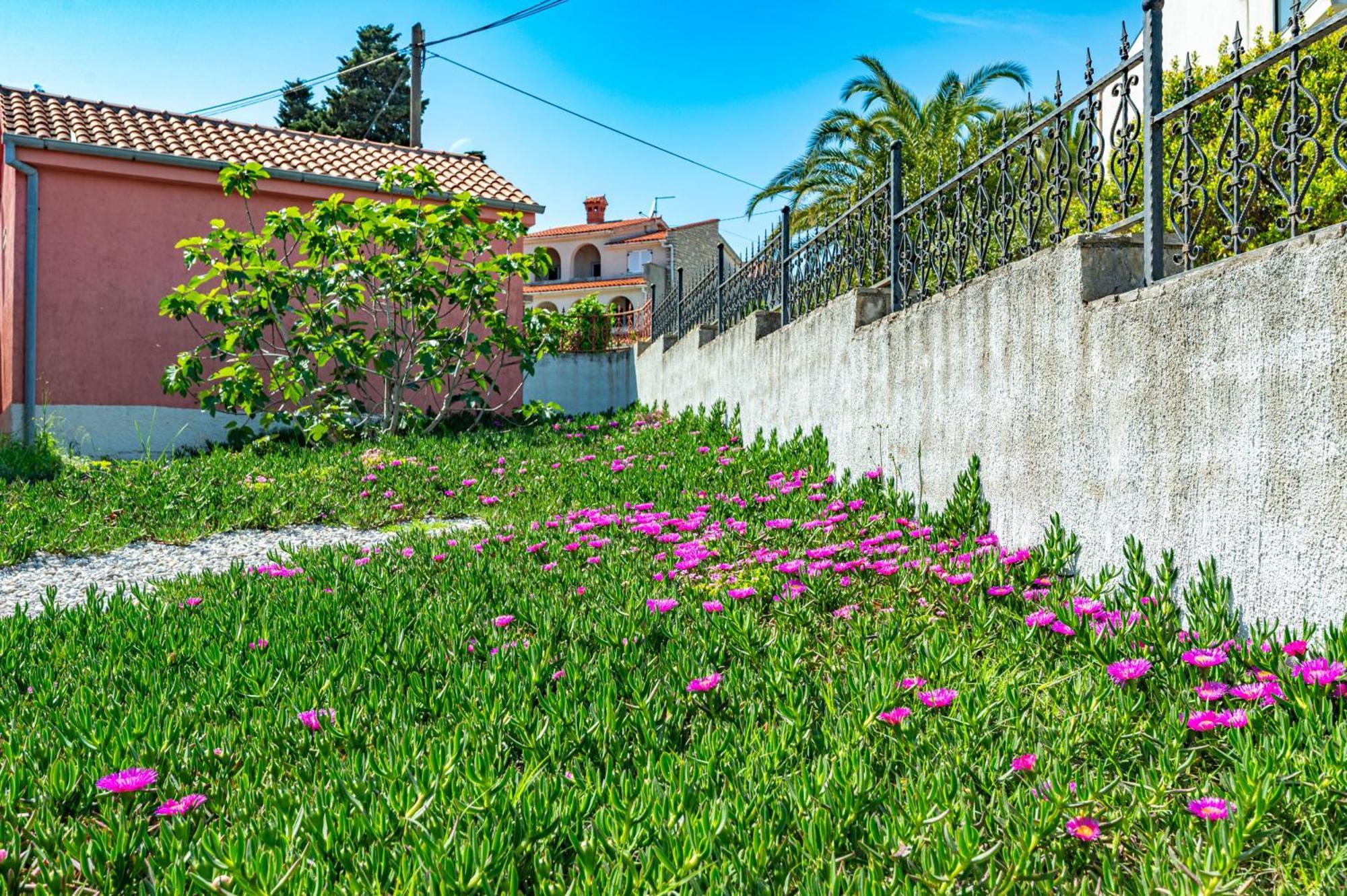 Villa Valentina بريمونتيرا المظهر الخارجي الصورة